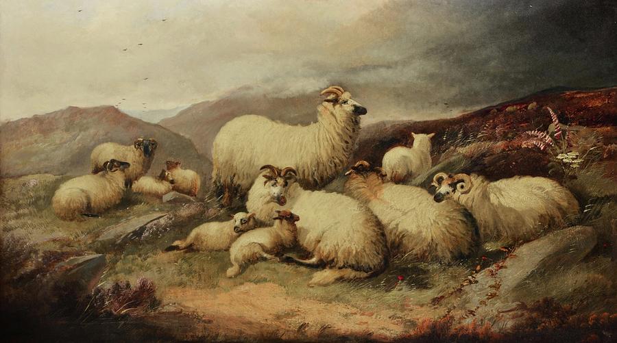 White Painting - Sheep in a mountain landscape animal by Alfred Morris