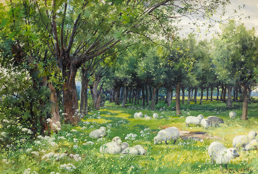 Sheep in an Orchard at Springtime Painting by Louis Fairfax Muckley