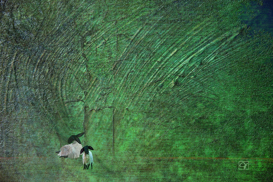 Sheep in Green Pastures Digital Art by Jean Moore