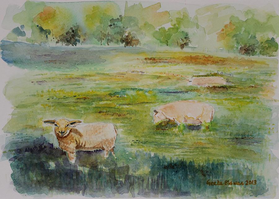 Sheep Painting - Sheep in pasture by Geeta Yerra