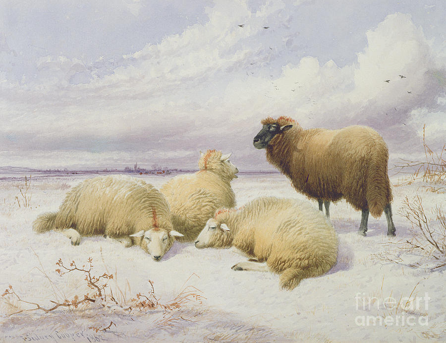 Thomas Sidney Cooper Painting - Sheep in the Snow by Thomas Sidney Cooper