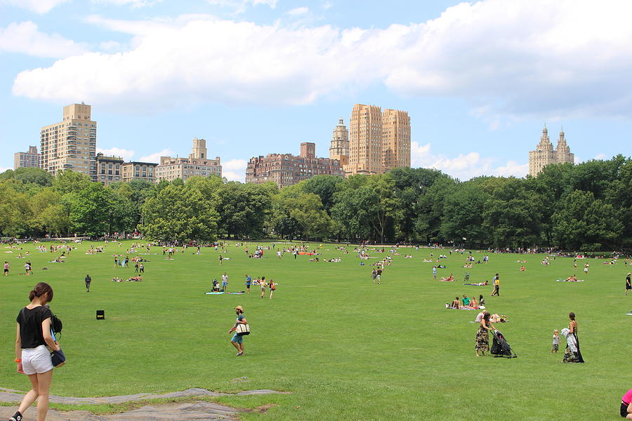 Sheep Meadow and Central Park, NYC Photograph by David Zuhusky - Pixels