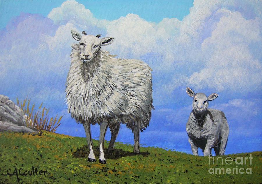 Sheep Painting - Sheep of the Burren by Charolette A Coulter