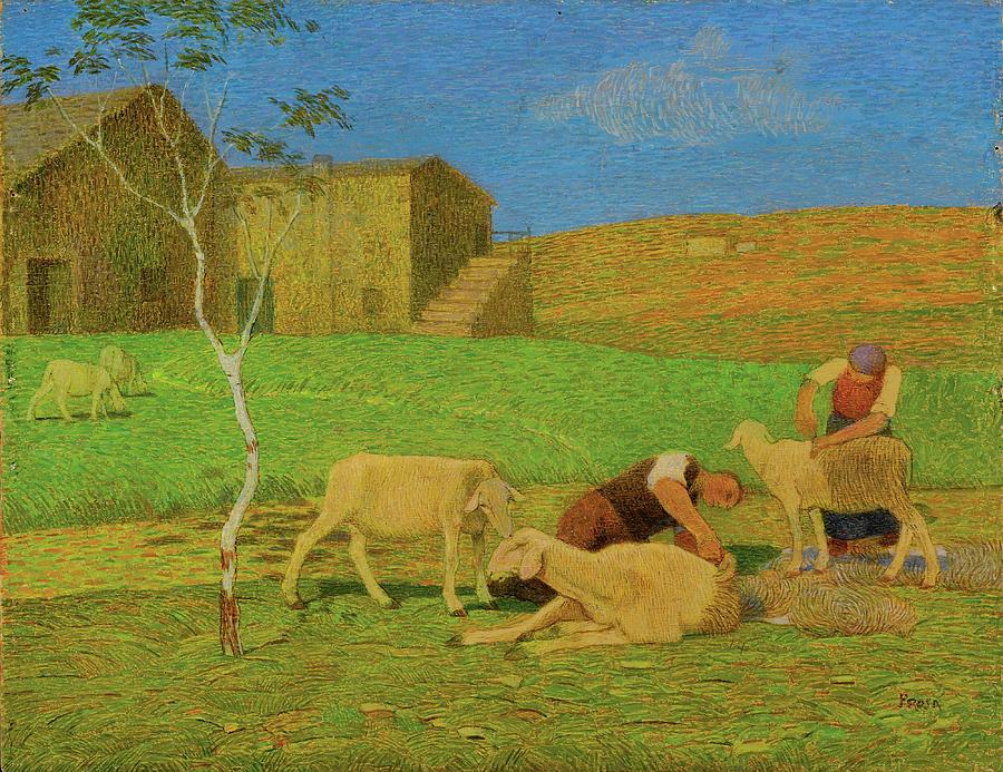 Sheep Shearing Painting By Alfredo Prosa Fine Art America