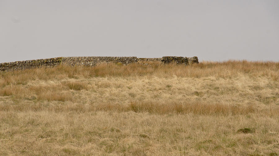 Sheep shelter on a hill. Photograph by Elena Perelman