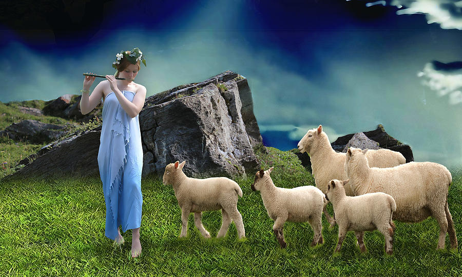Sheep Whisperer Mixed Media by Marvin Blaine