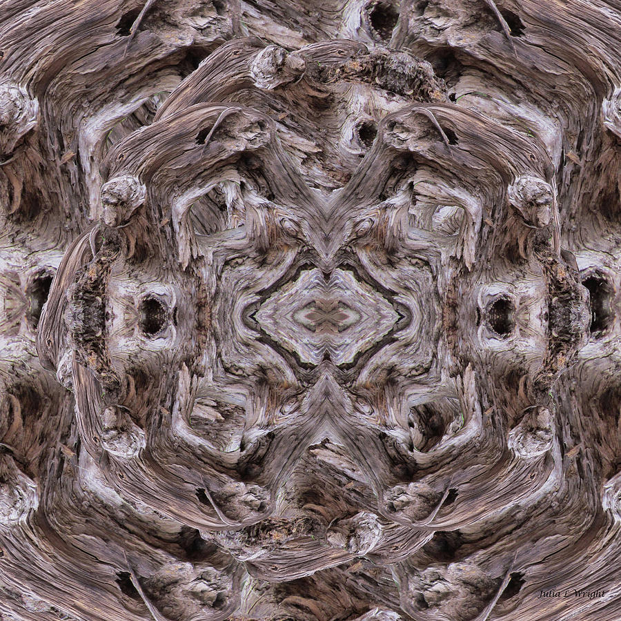 Sheeps Head Vortex Kaleidoscope Digital Art by Julia L Wright
