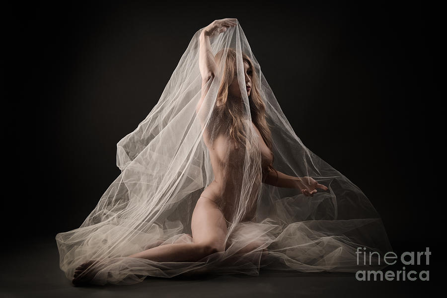 Nude Photograph - Sheer Nude Art 4 by Jt PhotoDesign