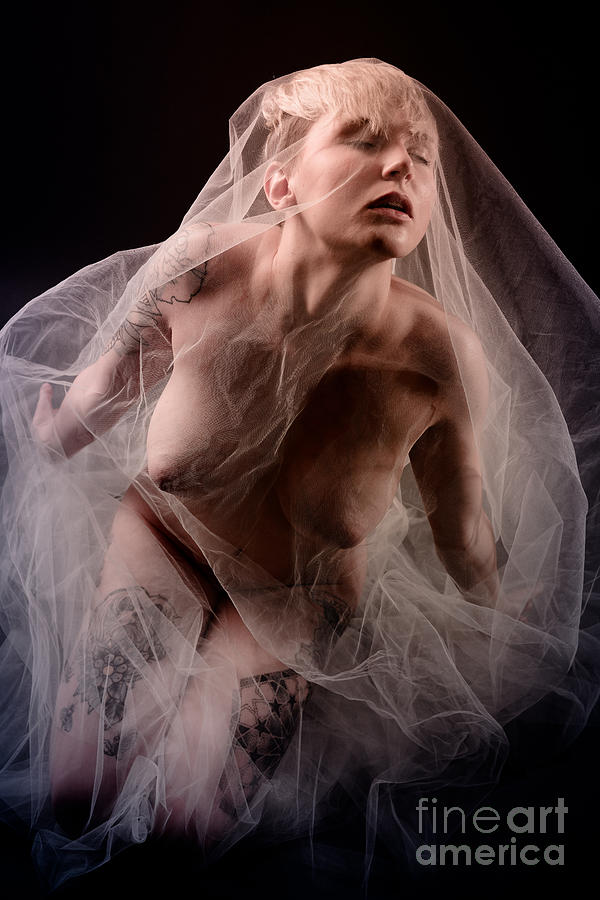 Sheer Nude Emotions Photograph By Jt Photodesign