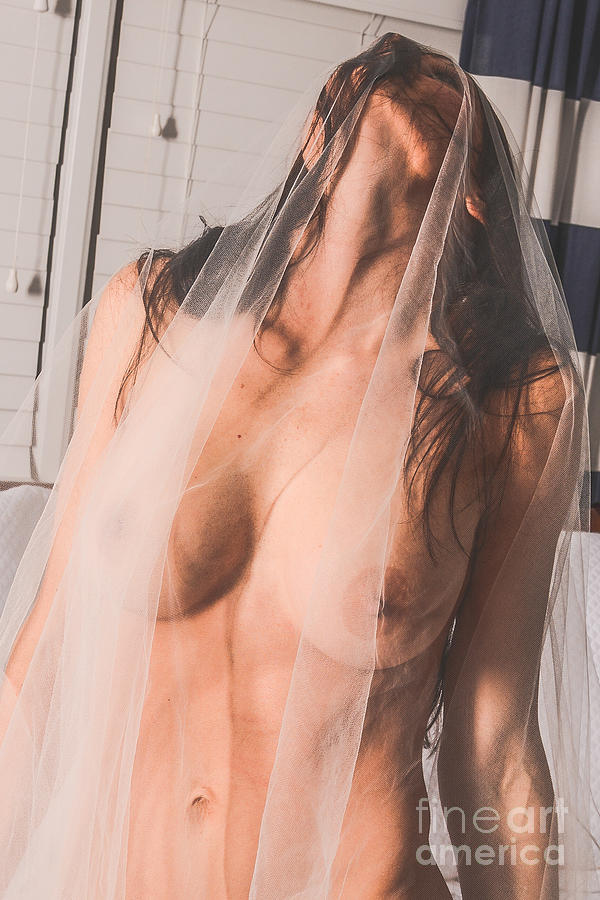 Sheer Nude Top by Jt PhotoDesign -