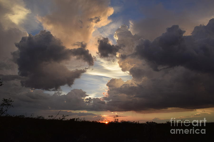 Sheer Sunset Splendor Photograph by Janet Marie