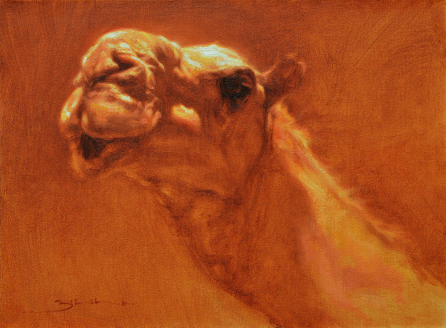 Camel Painting - Sheikh Jamel by Ben Hubbard