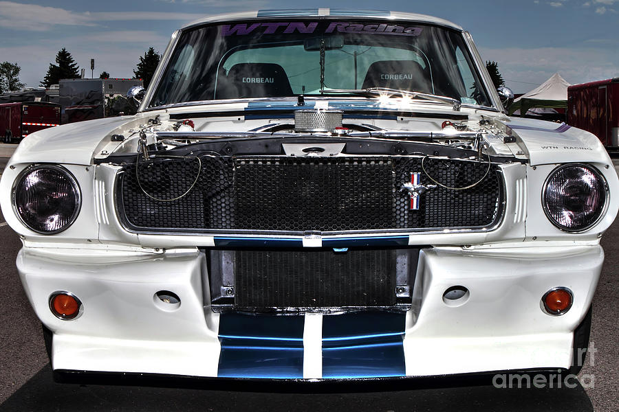 Shelby Gt 350 Photograph