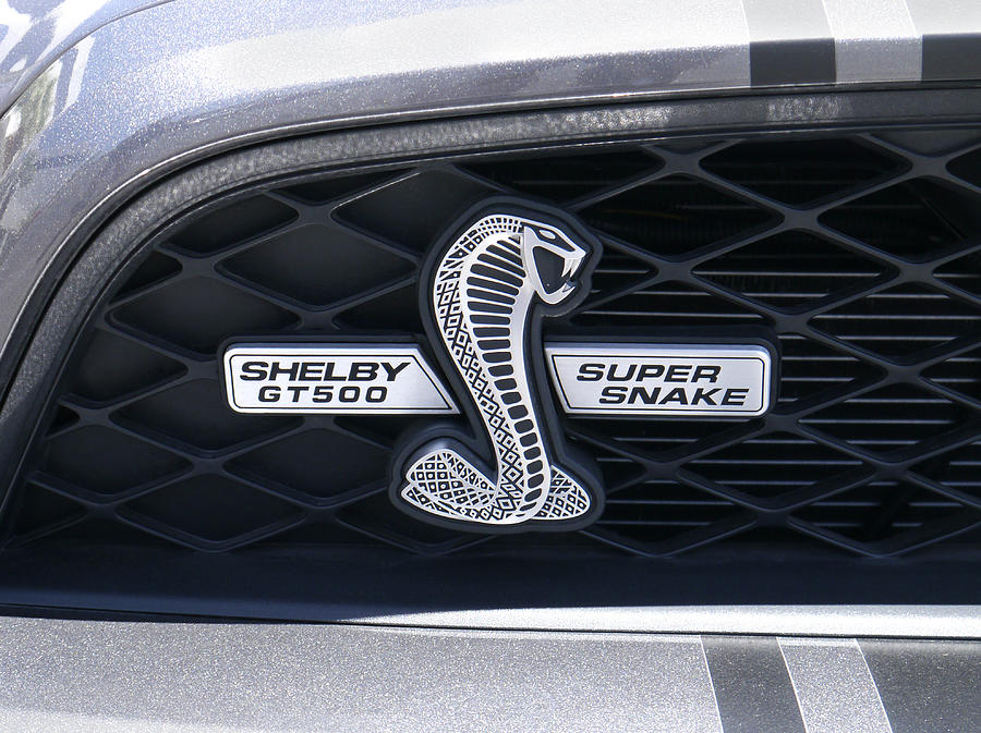 Shelby Gt 500 Super Snake Photograph