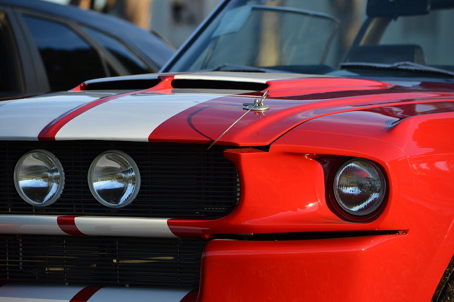 Shelby GT500 Photograph by Dean Ferreira