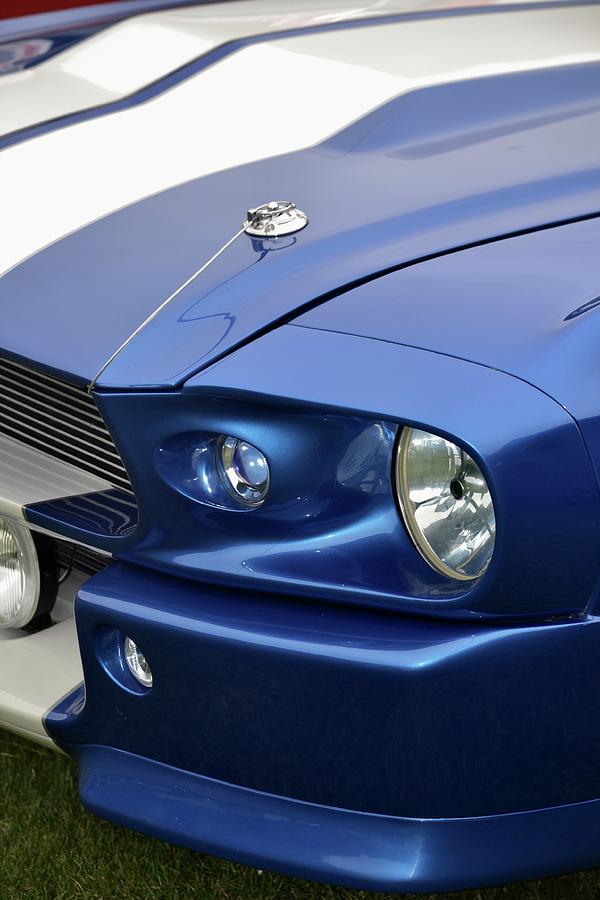 Shelby Mustang Photograph by Dean Ferreira