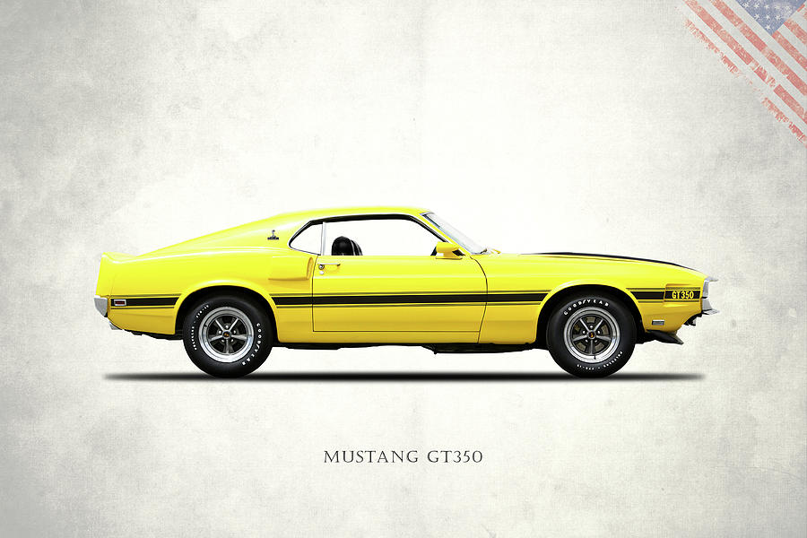 Transportation Photograph - Shelby Mustang GT350 1969 by Mark Rogan