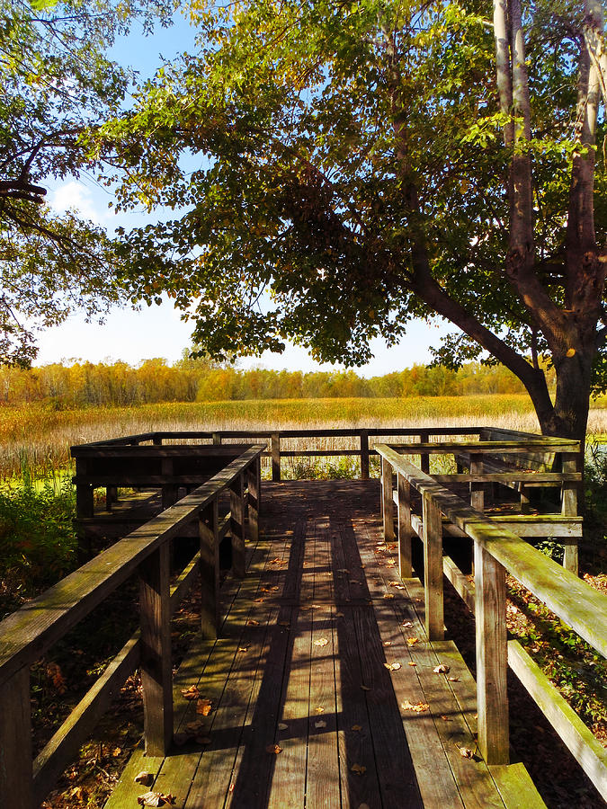Sheldon Marsh Scenic Overlook - Autumn 2 Photograph by Shawna Rowe