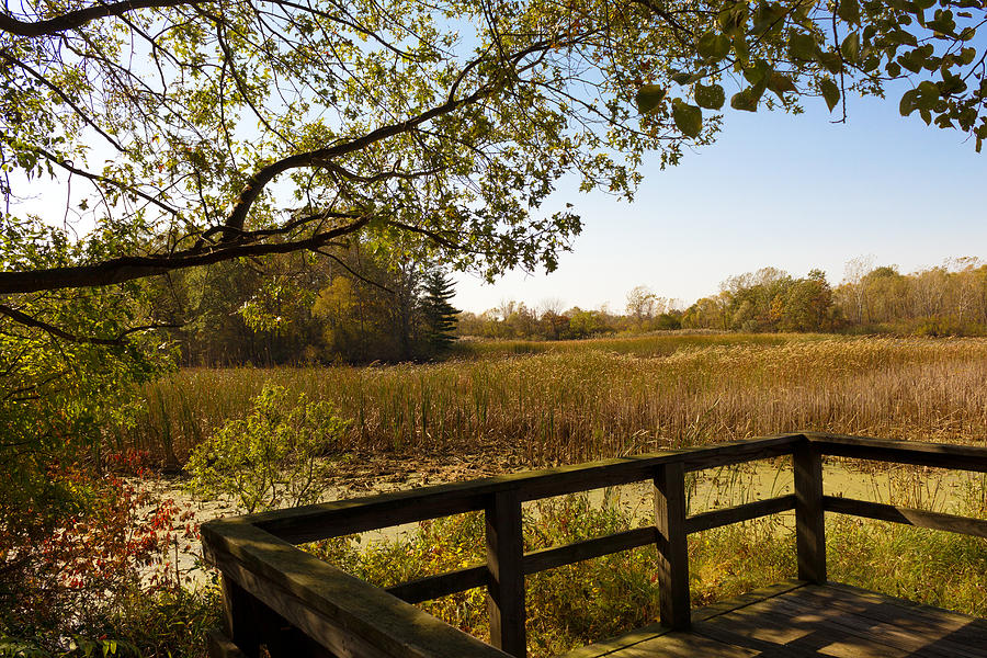 Sheldon Marsh Scenic Overlook - Autumn Photograph by Shawna Rowe