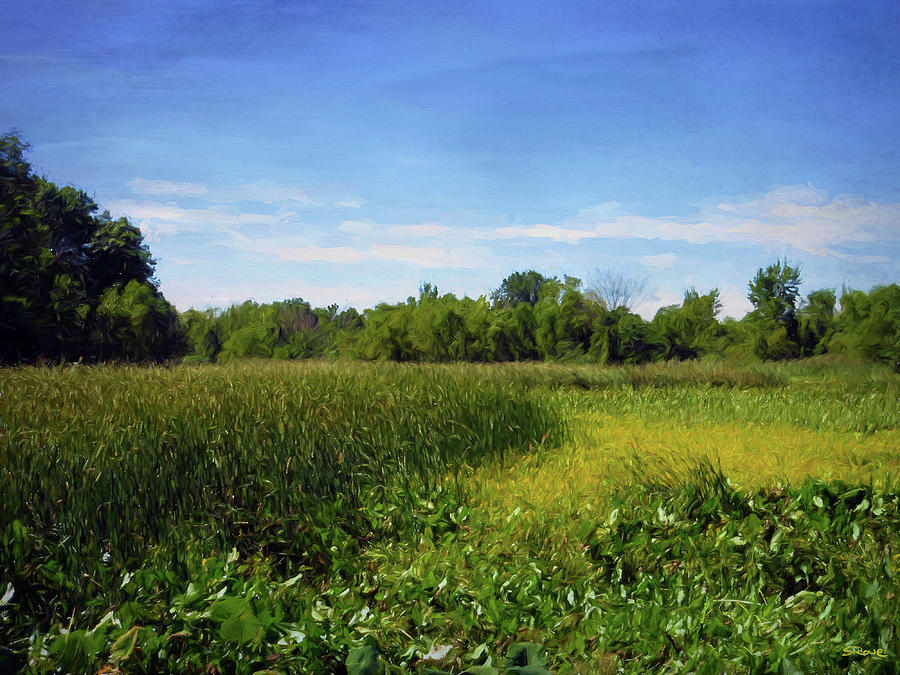 Sheldon Marsh - Summer Meadow 2 Digital Art by Shawna Rowe
