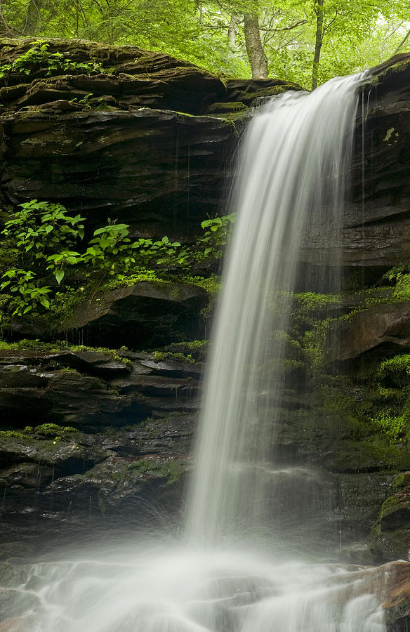 Sheldon Reynolds Falls #1 Photograph by Ed Lowe - Pixels