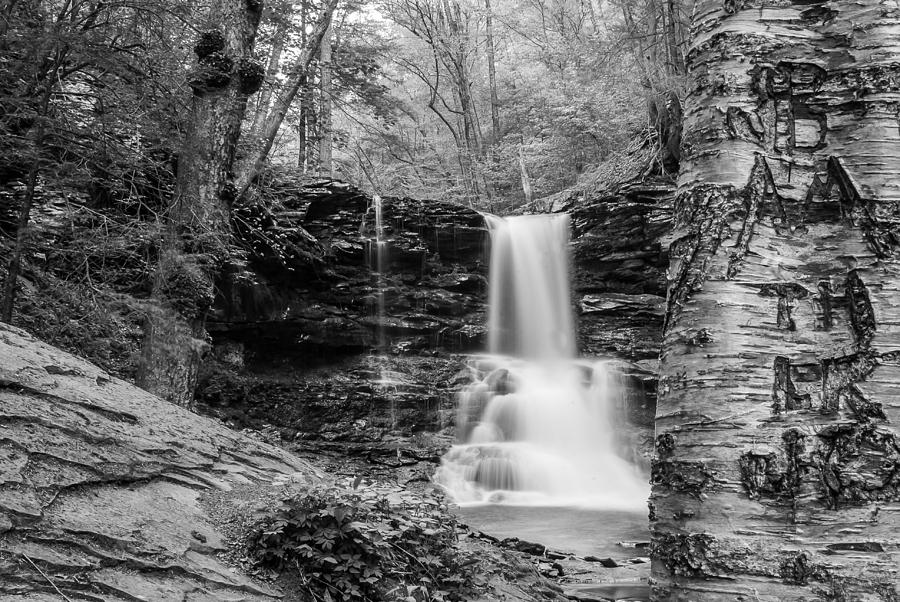 Sheldon Reynolds Falls - 8581 Photograph by Gordon Sarti