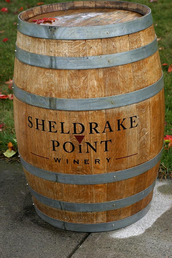 Sheldrake Point Winery Photograph by Living Color Photography Lorraine Lynch