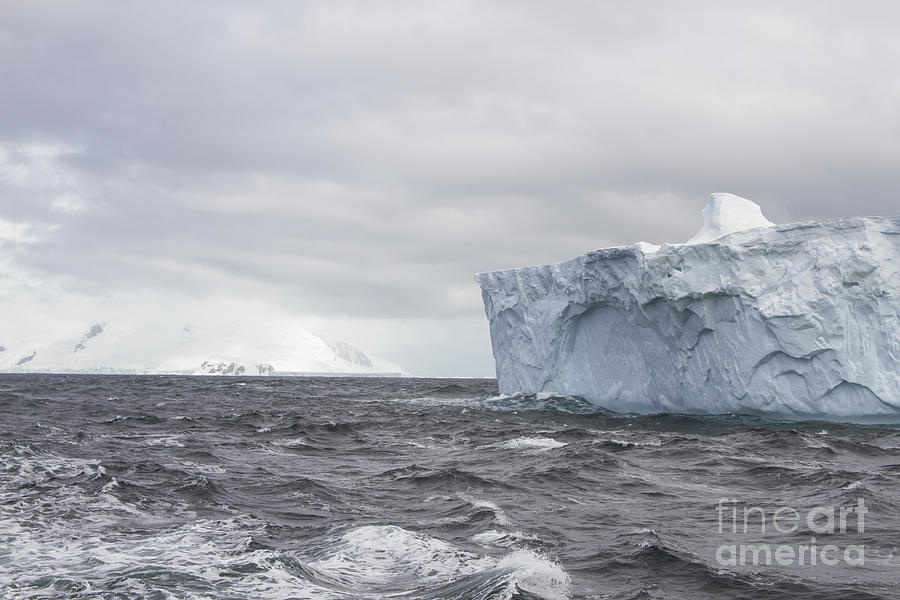 Shelf Ice near Snow Island, Antarctica Photograph by Karen Foley