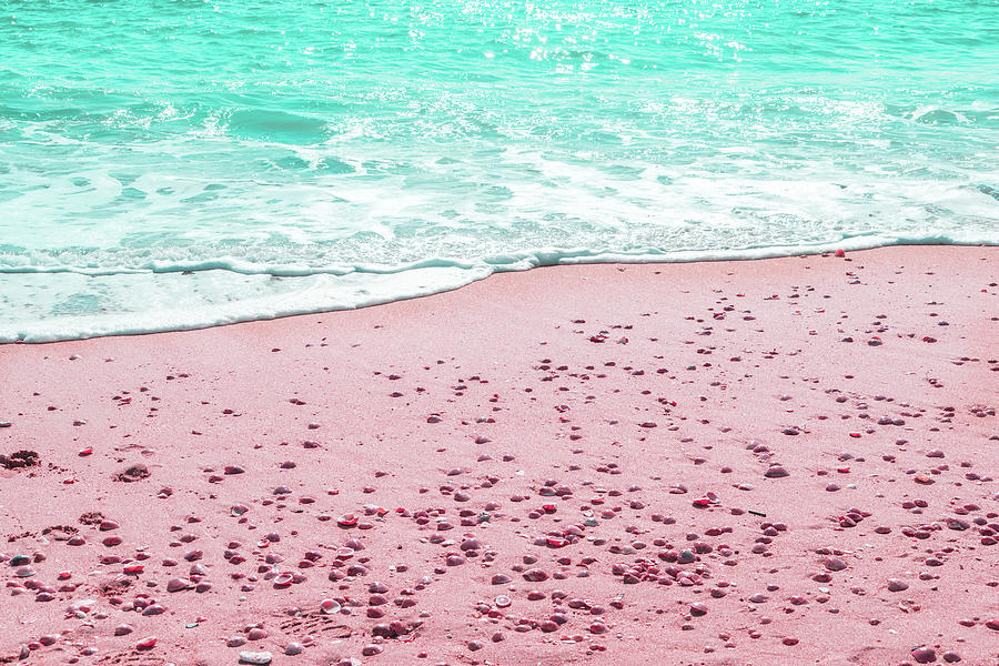 Shell Beach Reimagined Photograph by Georgia Mizuleva