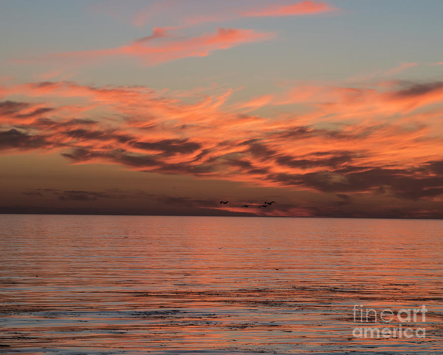 Shell Beach Sunset 3 Photograph by Steven Natanson