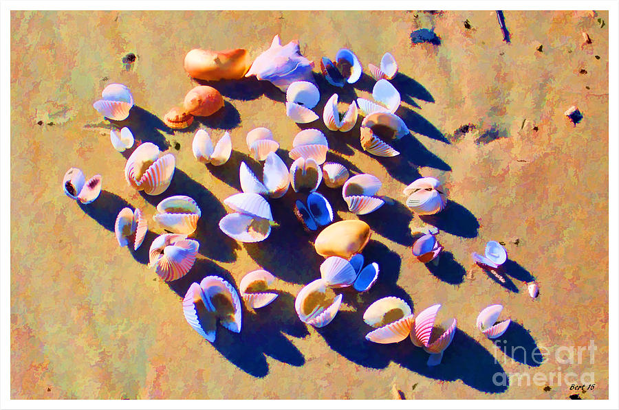 Shell Collection Photograph by Roberta Byram