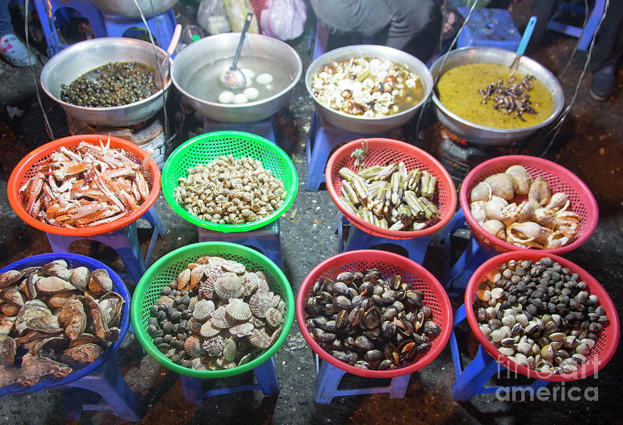 Shell Fish For Sale  Vietnam  Photograph by Chuck Kuhn