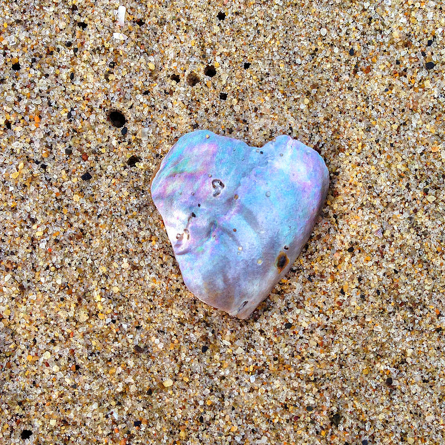 Shell Heart Photograph by Art Block Collections