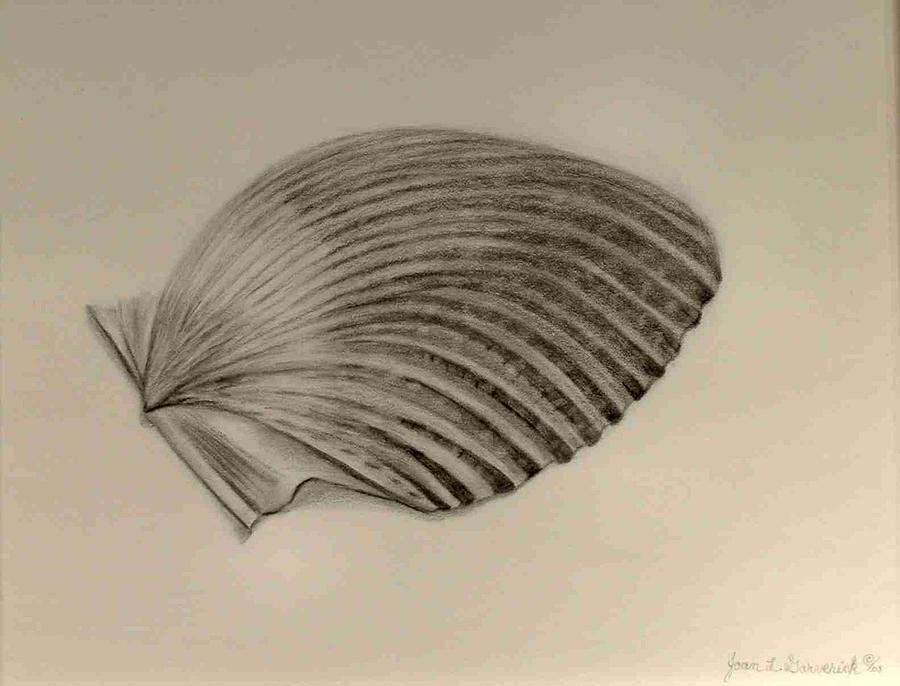 Sea Shell Drawing - Shell I by Joan Garverick 
