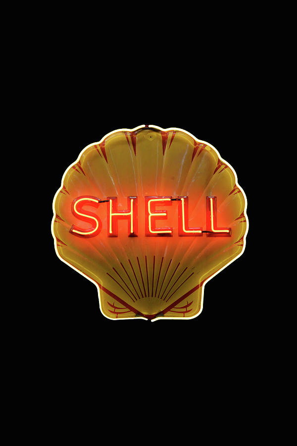 Shell Oil Neon on Black Photograph by Don Columbus