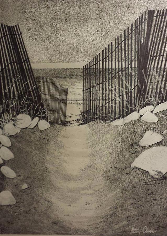 Shell Path Drawing by Betsy Carlson Cross