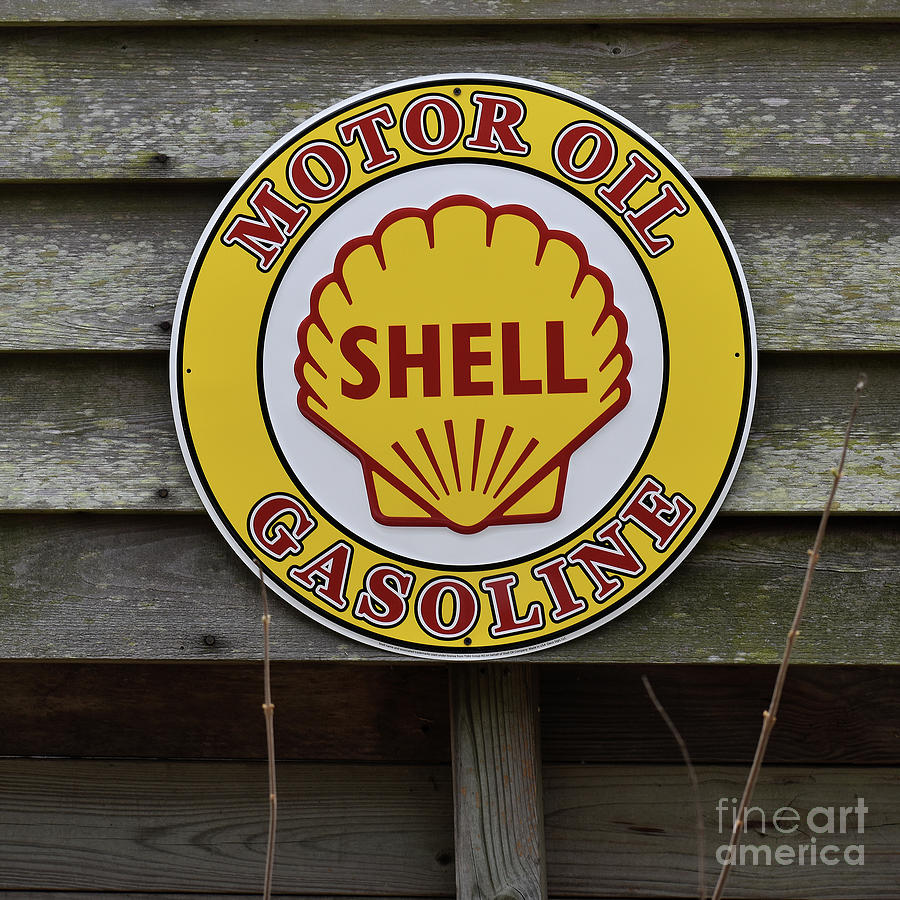 Shell Photograph by Skip Willits