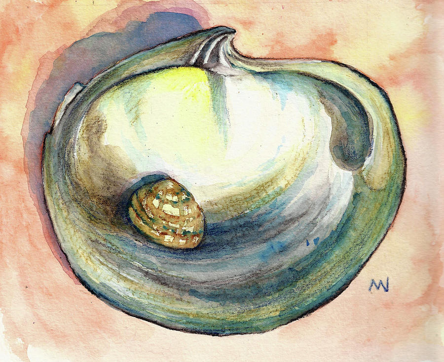 Shell Study Painting by AnneMarie Welsh