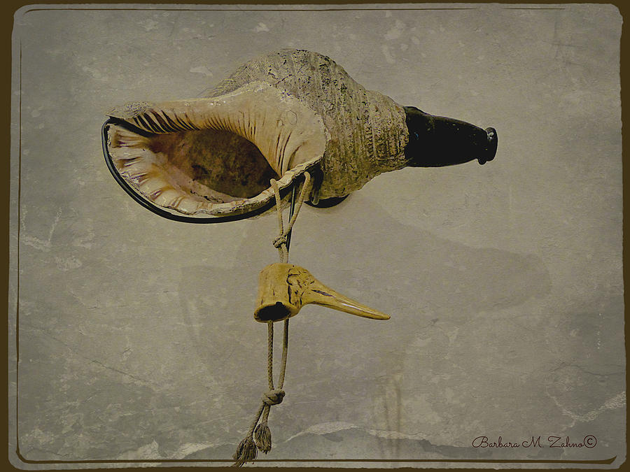 Shell Trumpet Photograph by Barbara Zahno