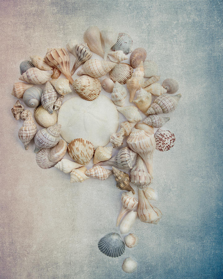 Shell Wreath Photograph by Rebecca Cozart