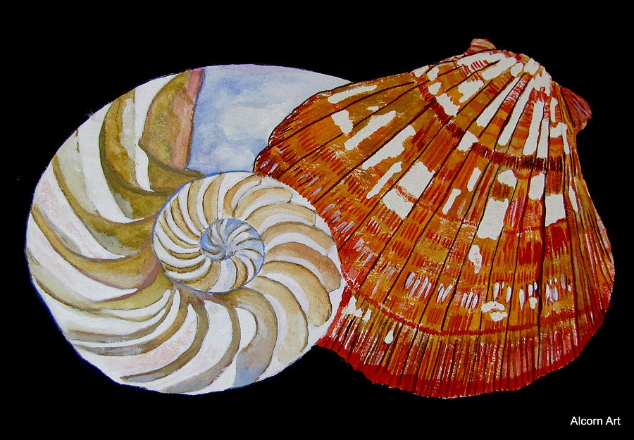 Shell Painting - Shells 3 by Brenda Alcorn
