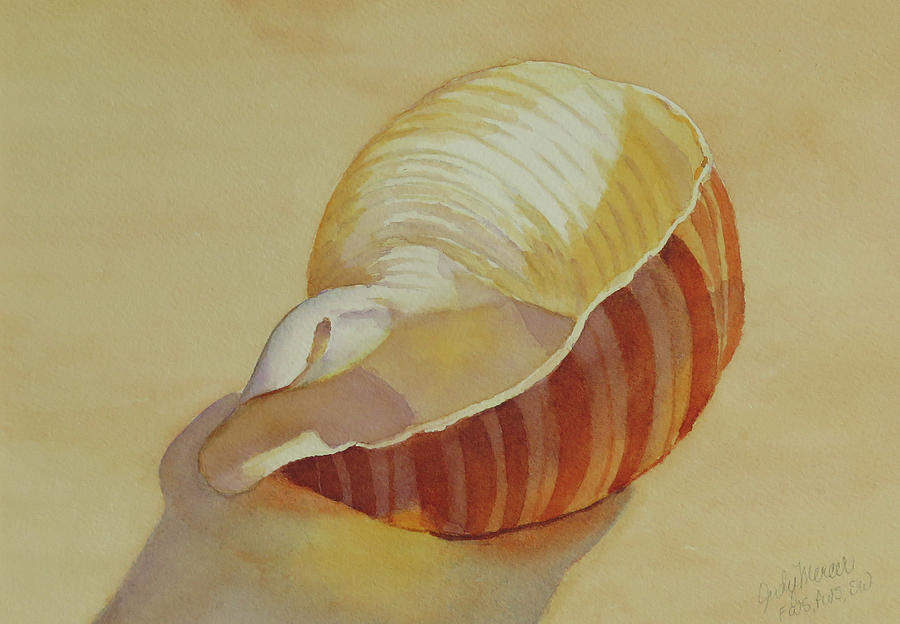 Shells 4 Painting by Judy Mercer