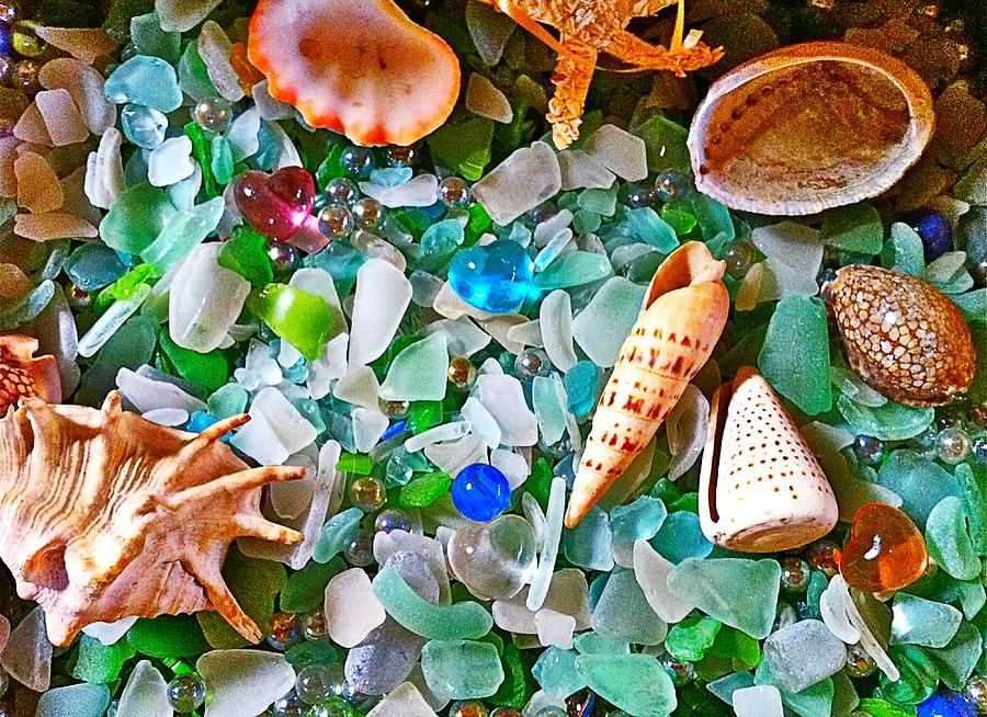 Shells and Glass Photograph by Gini Moore