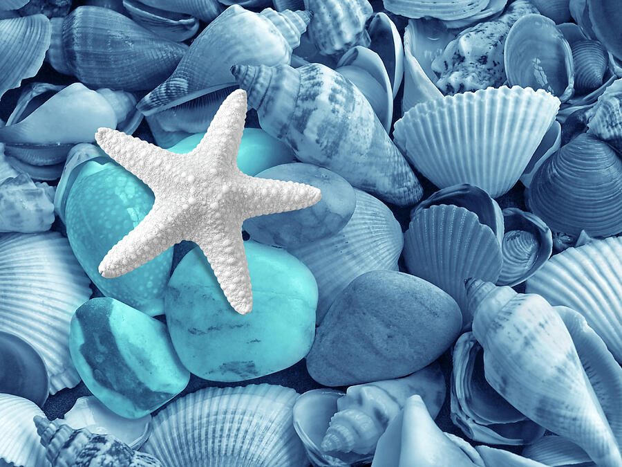 Starfish On The Beach in Blue Photograph by Gill Billington