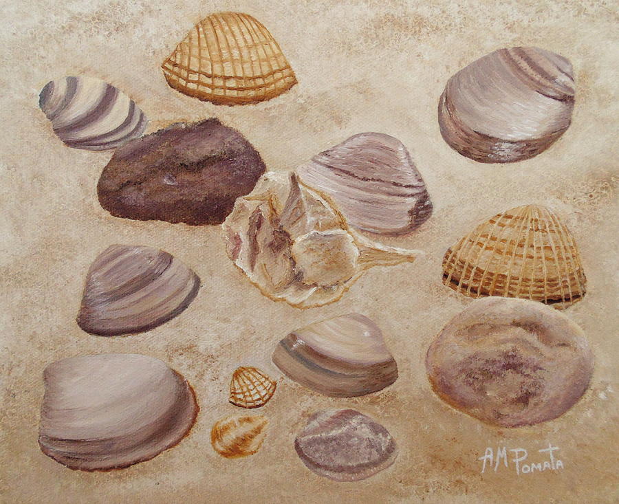 Piedras Painting - Shells and Stones by Angeles M Pomata