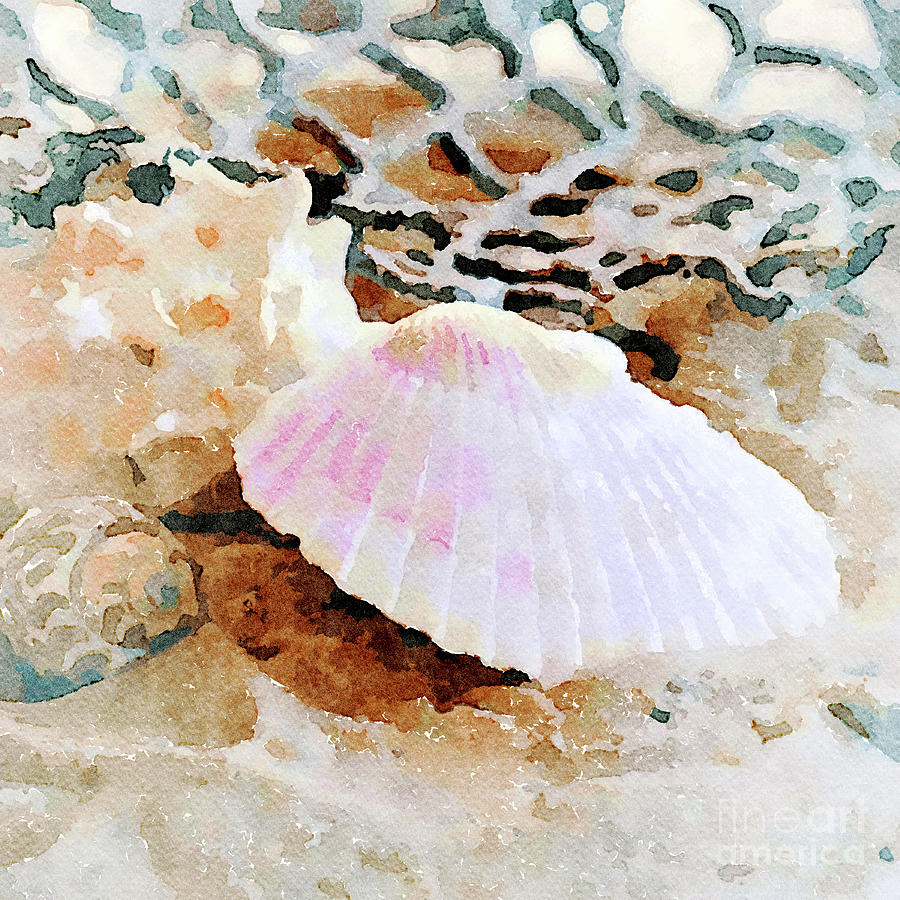 Shells Digital Art by Betty LaRue