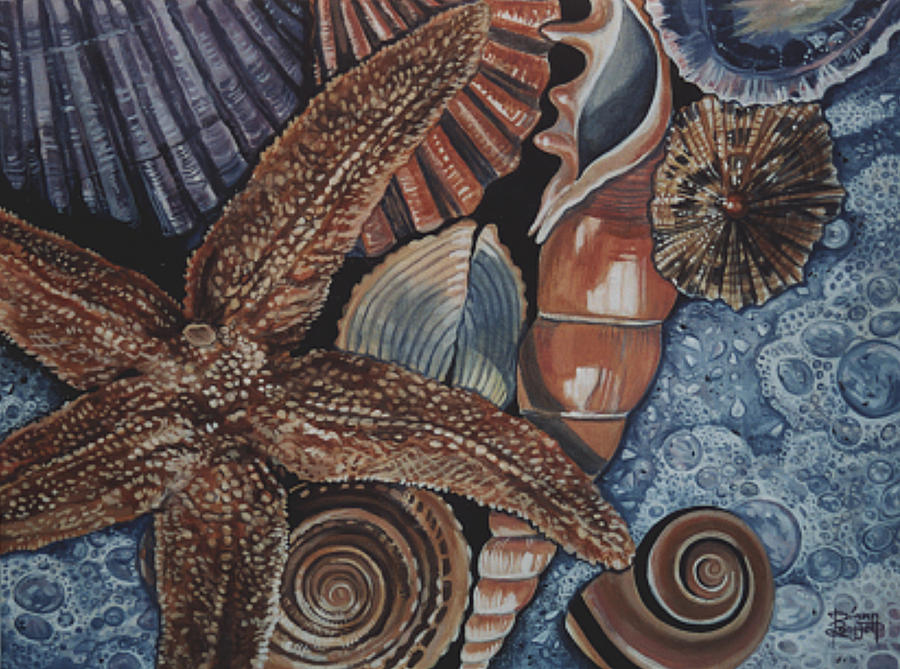 Shell Painting - Shells by Diann Baggett