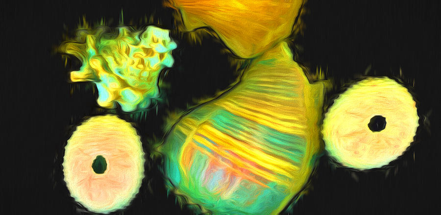 Shells in Brilliant Color Digital Art by Cathy Anderson
