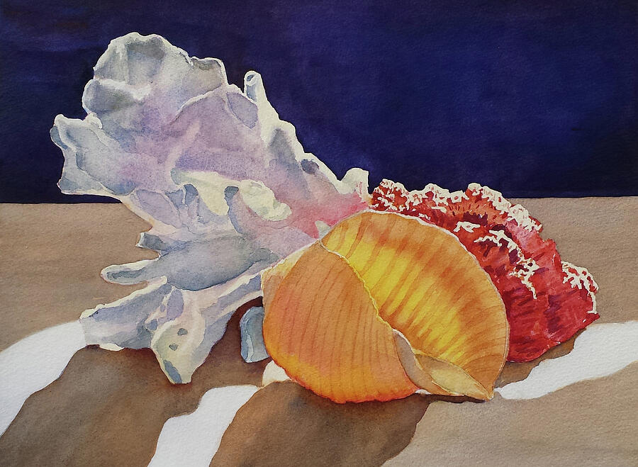 Shells on a Shelf Painting by Judy Mercer