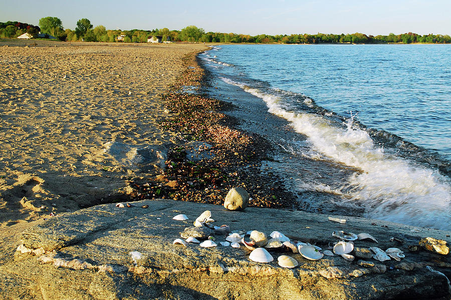 Shells on the Shore Photograph by James Kirkikis